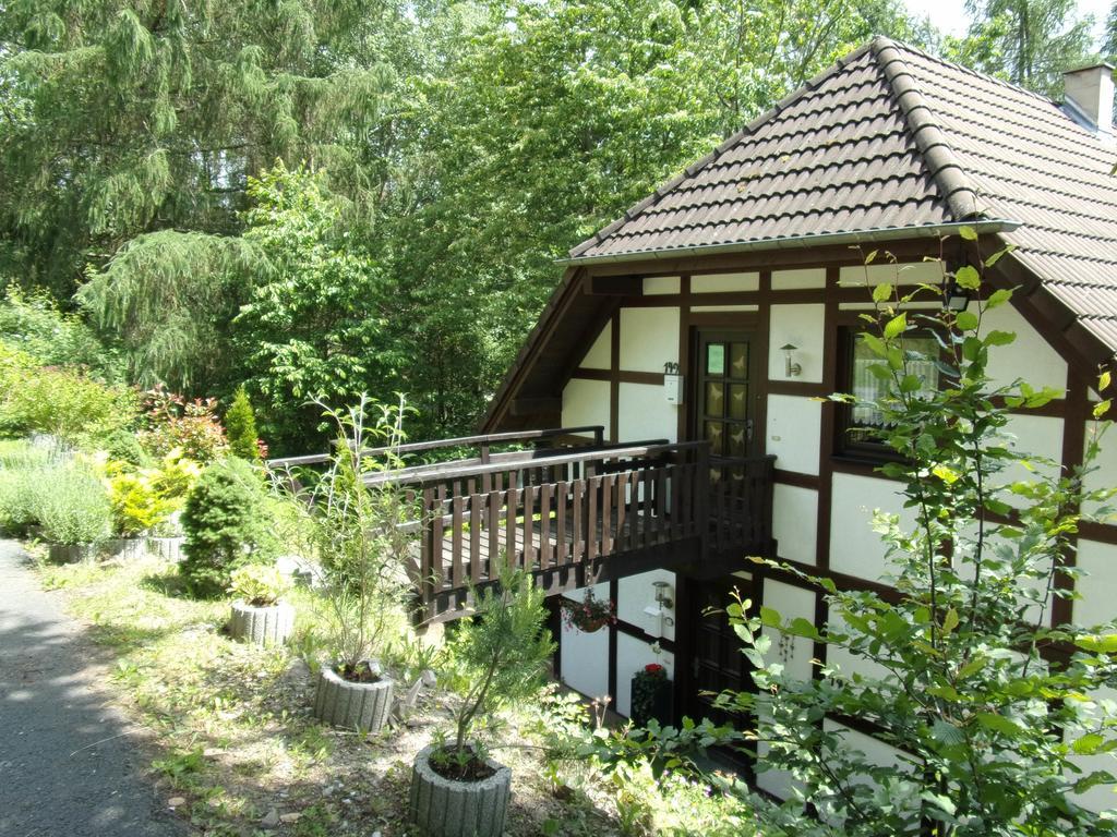 Ferienwohnung Hartmann Frankenau Zewnętrze zdjęcie