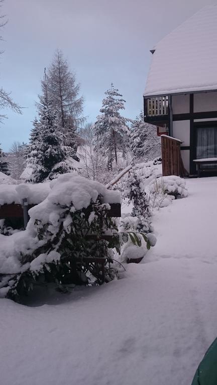 Ferienwohnung Hartmann Frankenau Zewnętrze zdjęcie