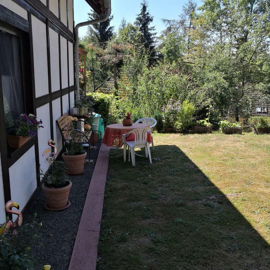 Ferienwohnung Hartmann Frankenau Zewnętrze zdjęcie