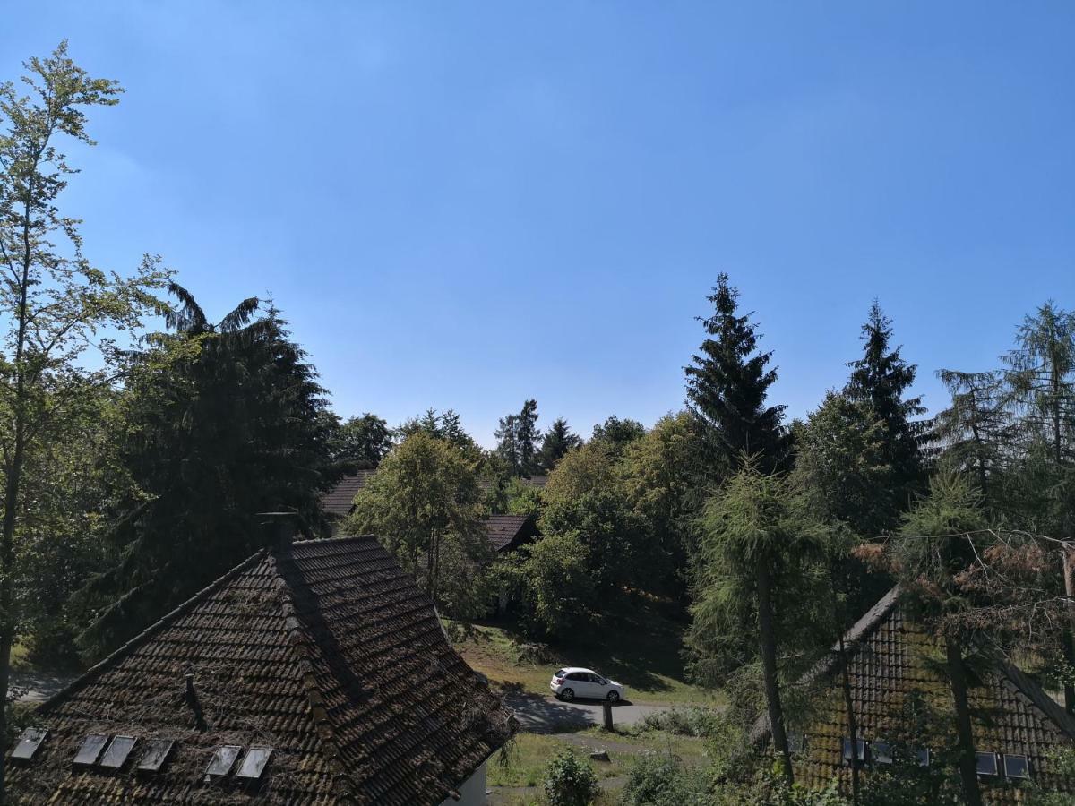 Ferienwohnung Hartmann Frankenau Zewnętrze zdjęcie